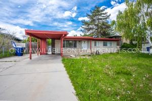 featured image of 4873 Ws