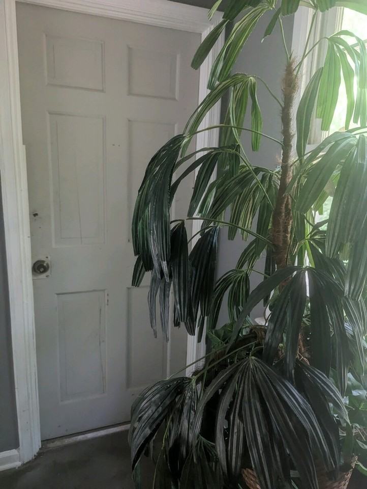 2115 Hazelhurst St #A - Photo 2 of 3