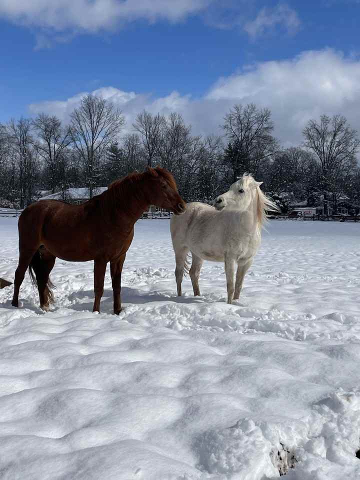 210 Millstone River Road Belle Mead - Photo 2 of 22