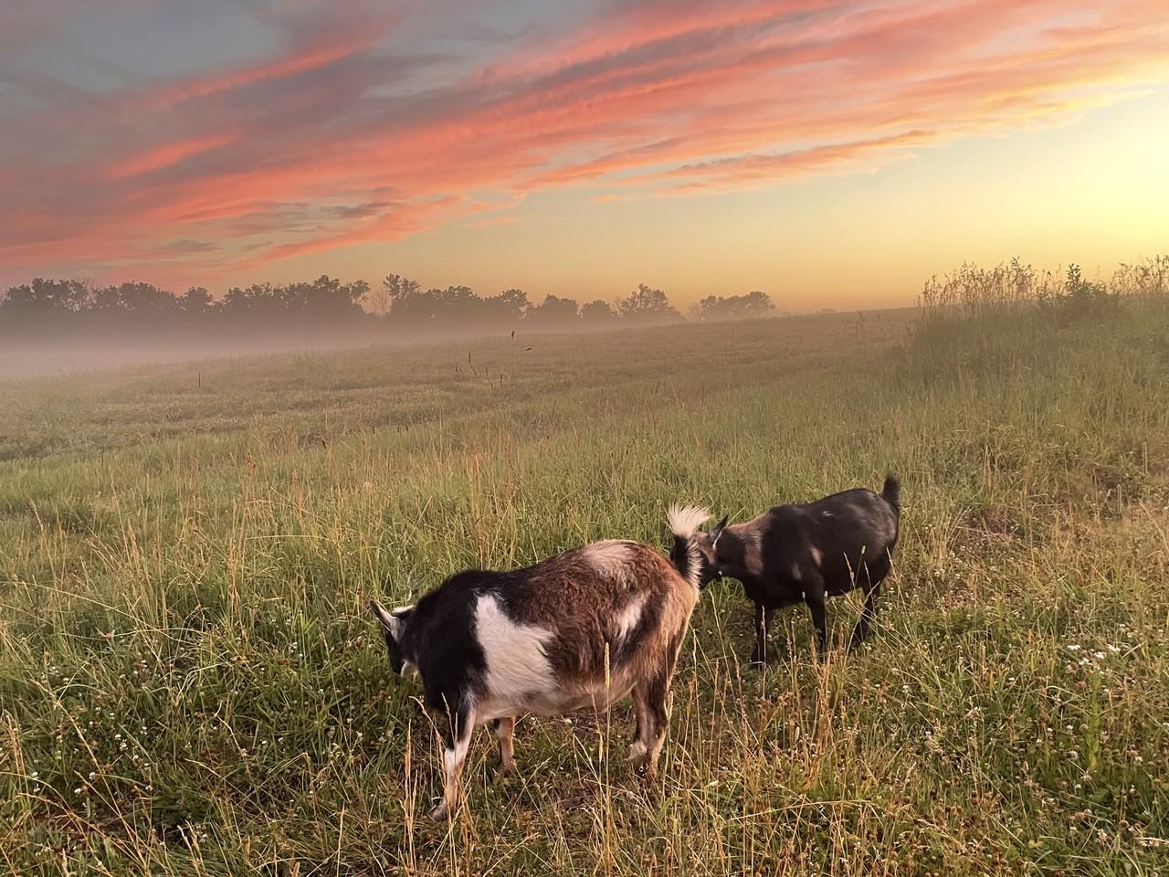 210 Millstone River Road Belle Mead - Photo 3 of 22