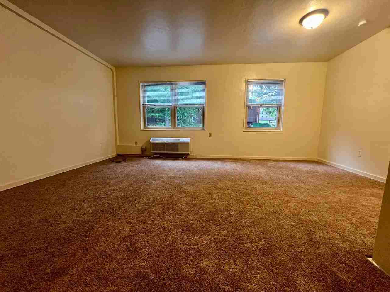 Marlee - Photo 2 of 50