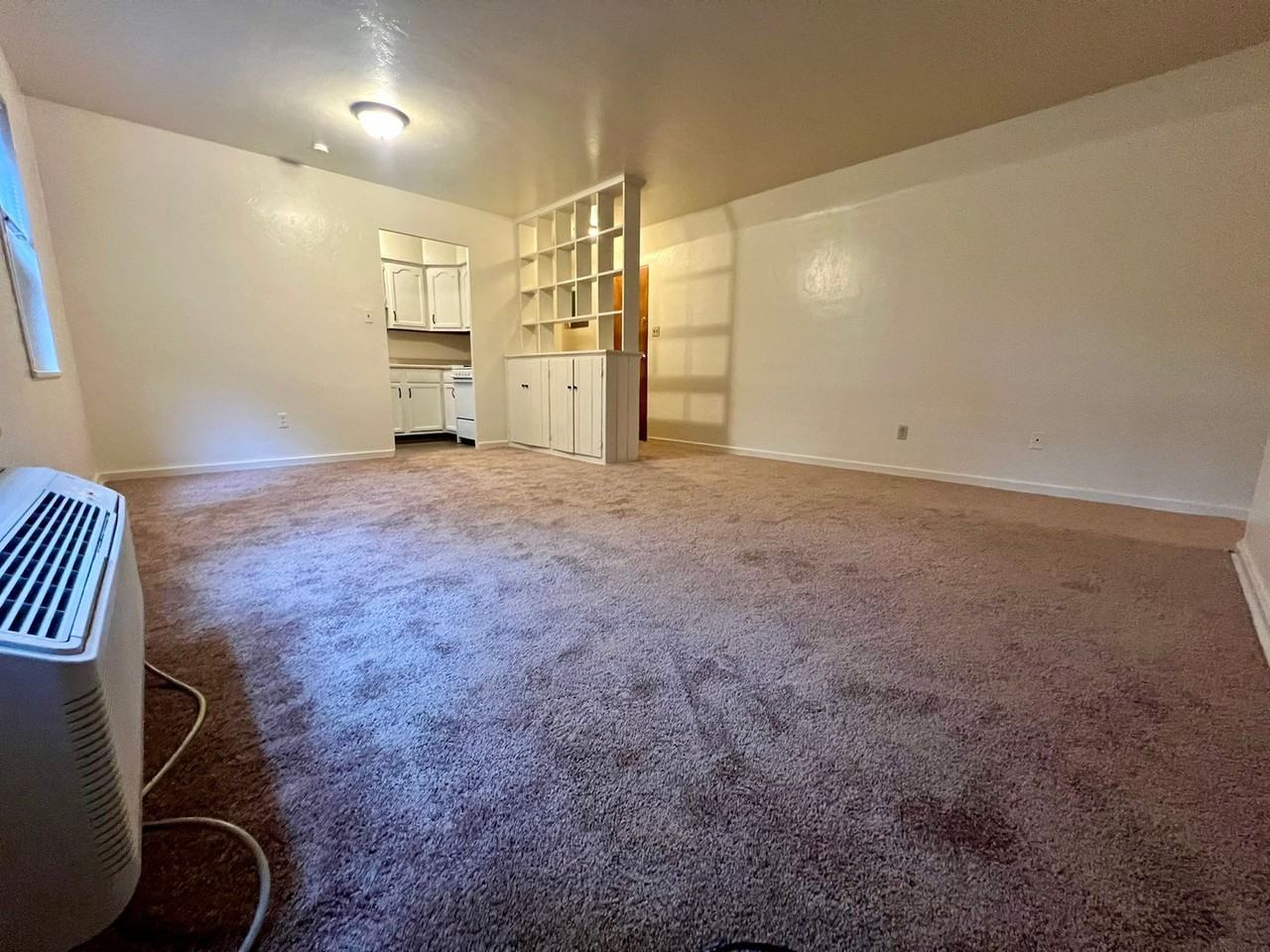 Marlee - Photo 3 of 50