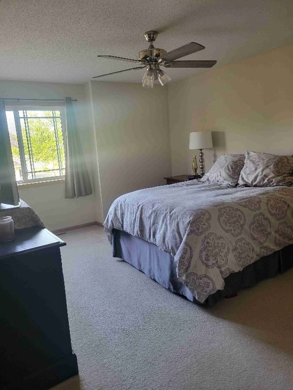 527 French Ln - Photo 3 of 13