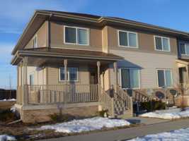 featured image of 2870 2870 - 2950 Blue Aster