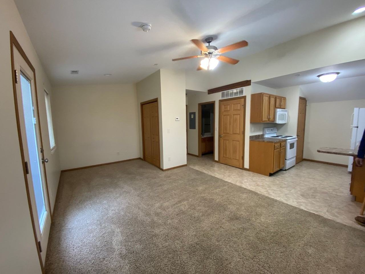 Arthur - Photo 3 of 12