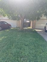 10411 White Oak Canyon Rd - Photo 1 of 1