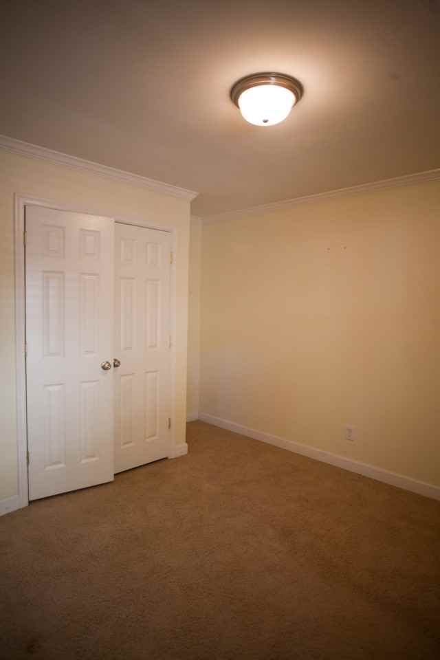 1513 E Franklin St Apt 137d - Photo 6 of 7