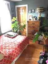 44 Ward St ## 46 - Photo 1 of 1