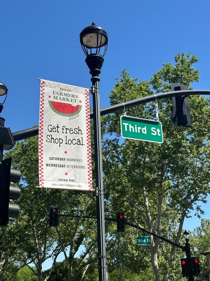 217 B Street Apartments, Located in the University Avenue/Aggie Village Area - Photo 4 of 17