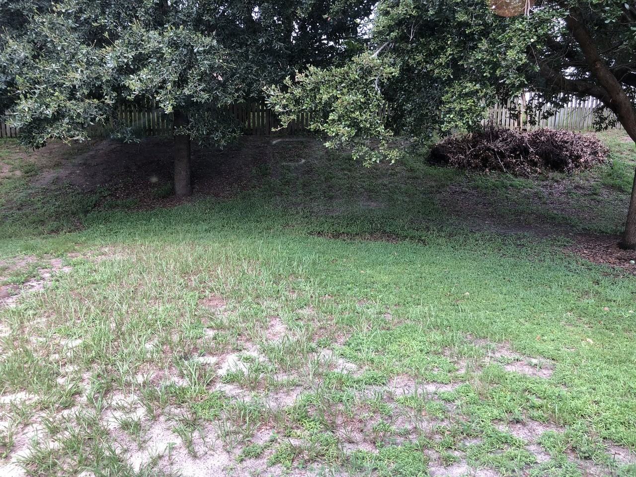 11641 Wishing Well Ln - Photo 5 of 17