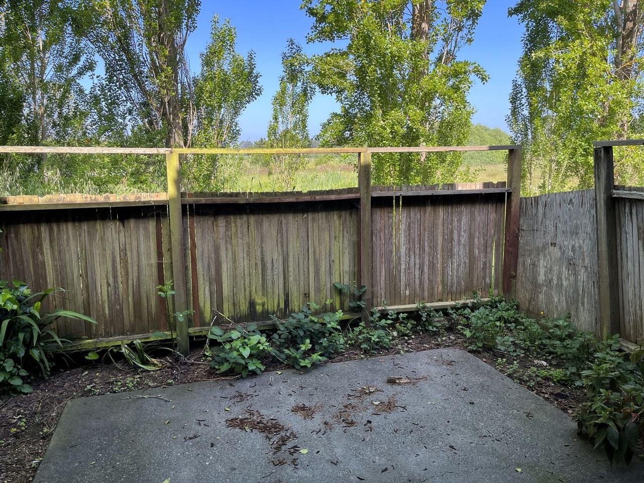 841 Bayside Rd - Photo 4 of 16