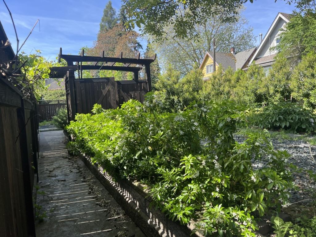 615 Prideaux St #1 - Photo 3 of 44