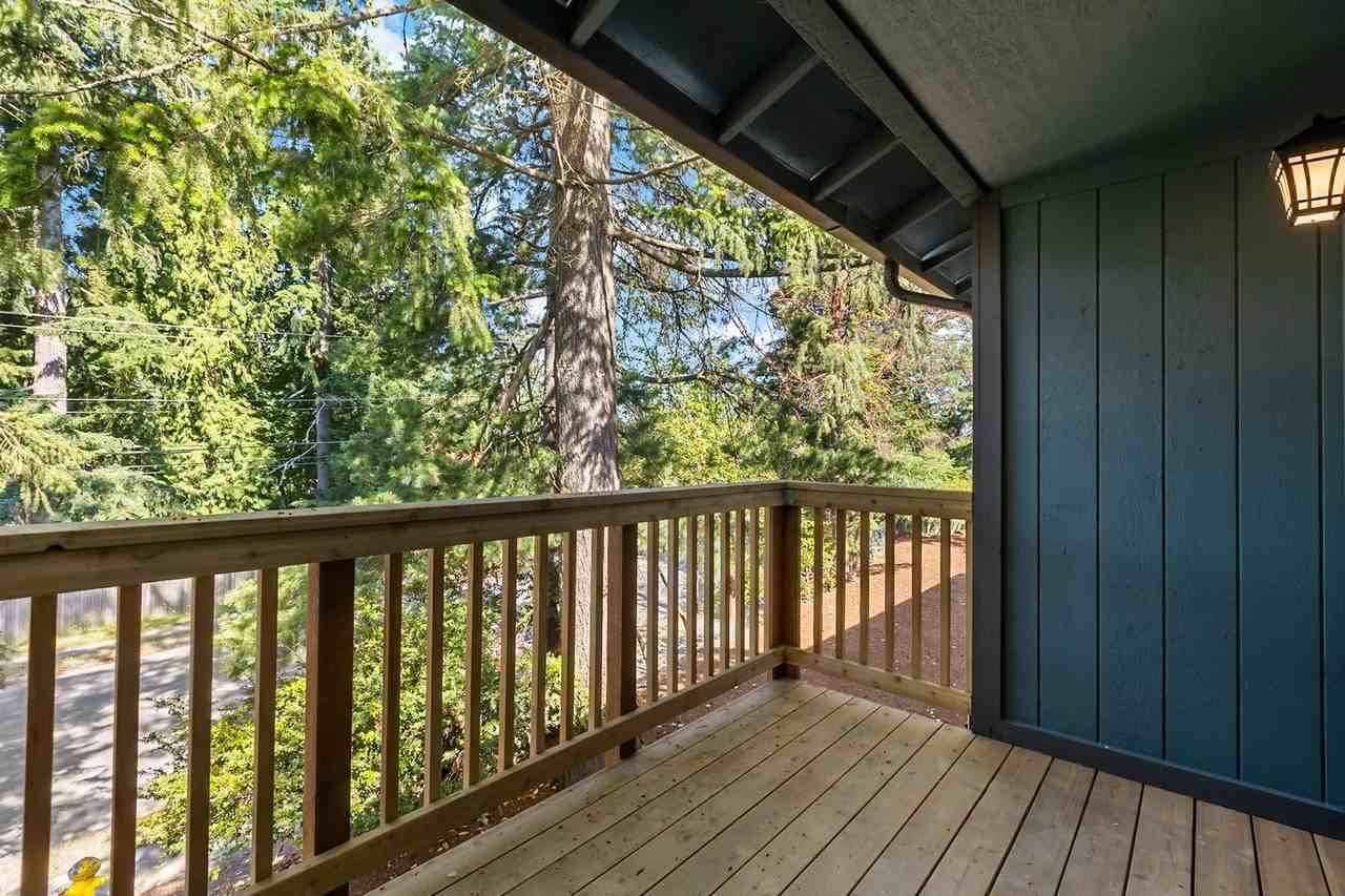 Timber Run - Photo 4 of 11