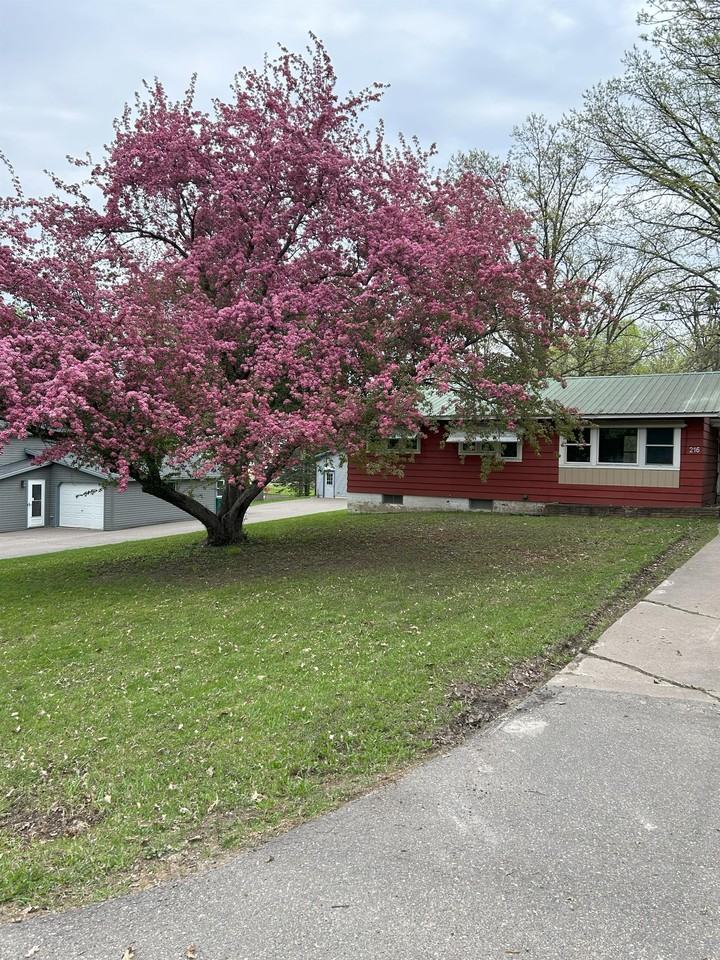 216 4th Ave Se - Photo 3 of 16