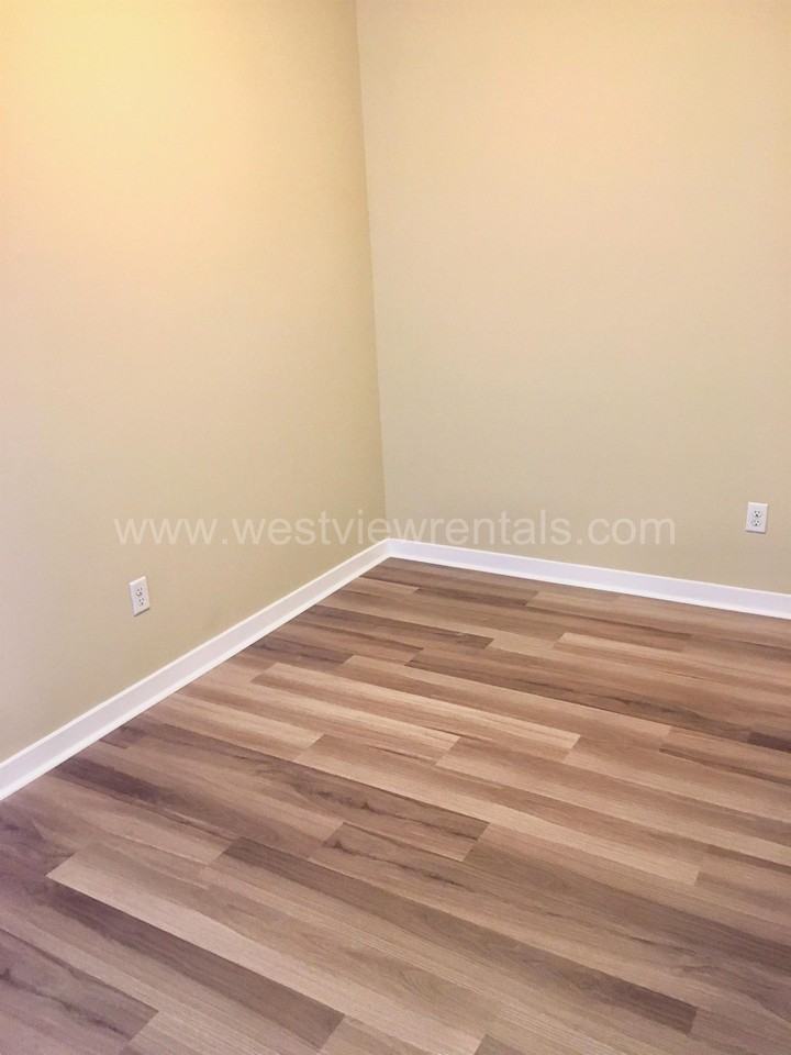 Shearwater - Photo 7 of 50