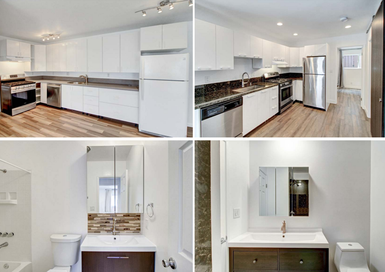 CATO - Photo 3 of 16