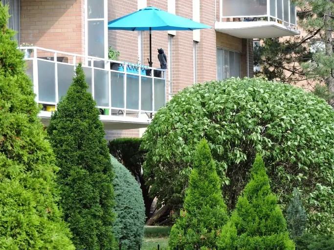 3089 Jaguar Valley Dr - Photo 2 of 11