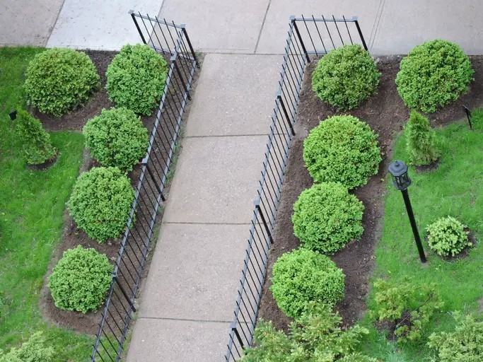 3089 Jaguar Valley Dr - Photo 3 of 11