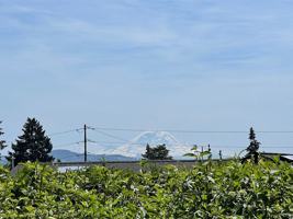 featured image of 9815 Vineyard Crest