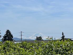 9815 Vineyard Crest - Photo 1 of 1