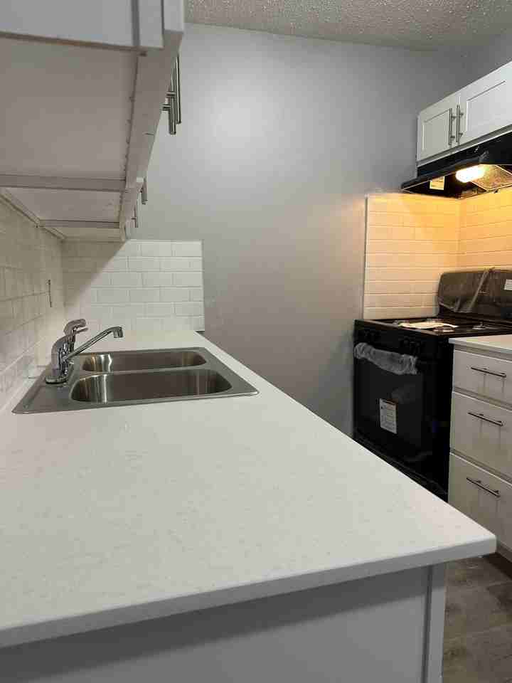 Terrace Court - Photo 5 of 50