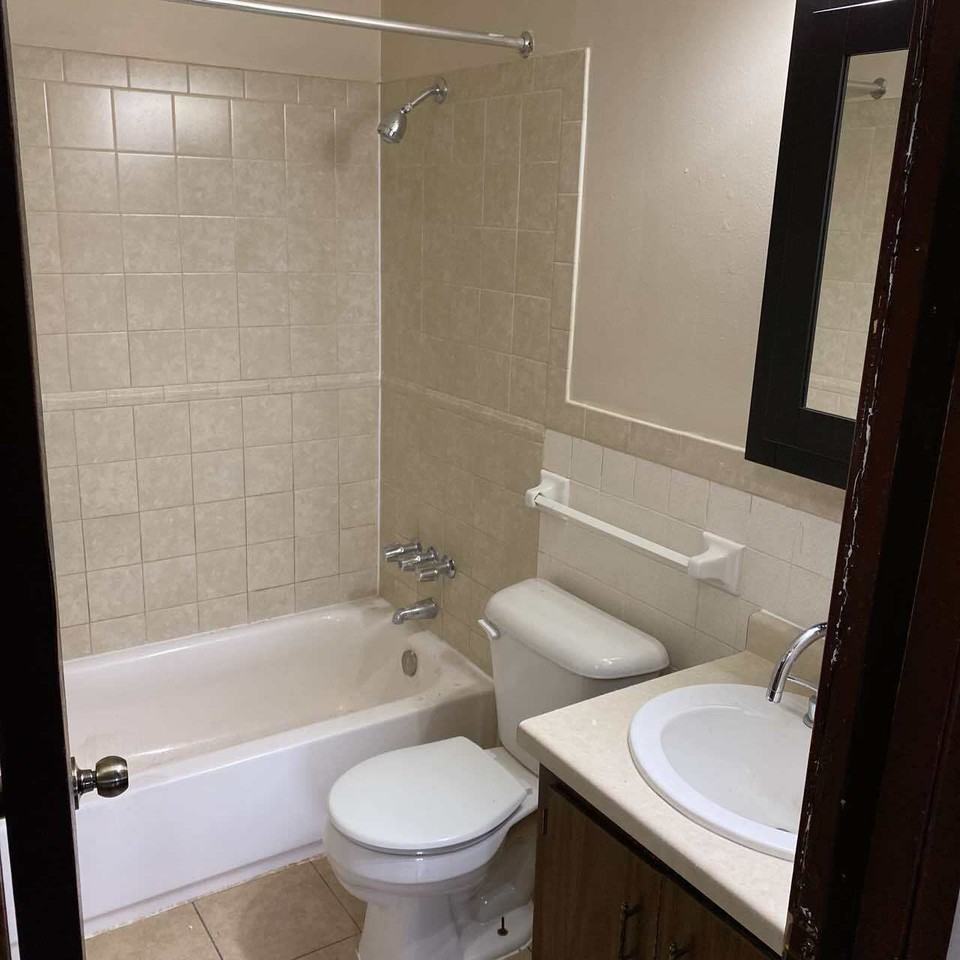 Evergreen - Photo 2 of 50