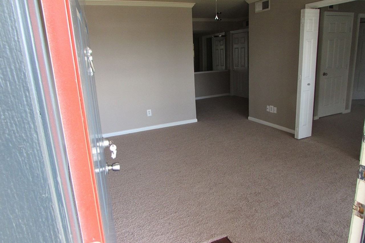 Colony of San Marcos - Photo 3 of 24