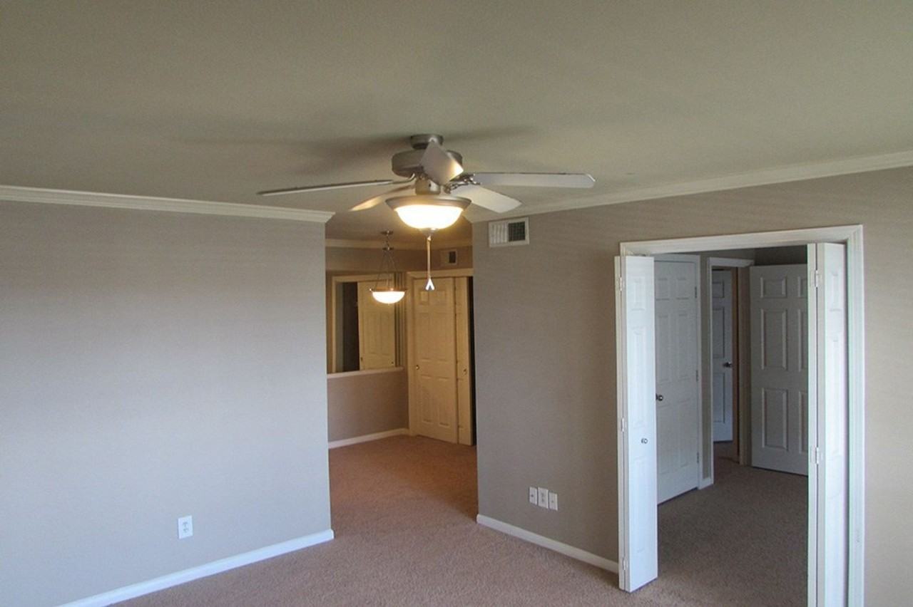 Colony of San Marcos - Photo 6 of 24