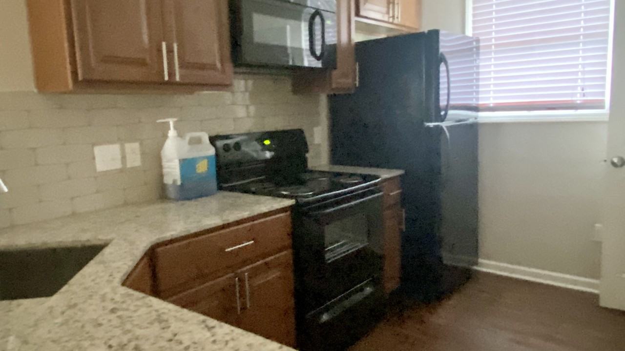 Renovated 2br apt at edge of LSU campus, incl appliances & parking - Photo 5 of 16