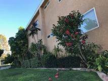 1710 W. 252nd Street - Photo 1 of 1