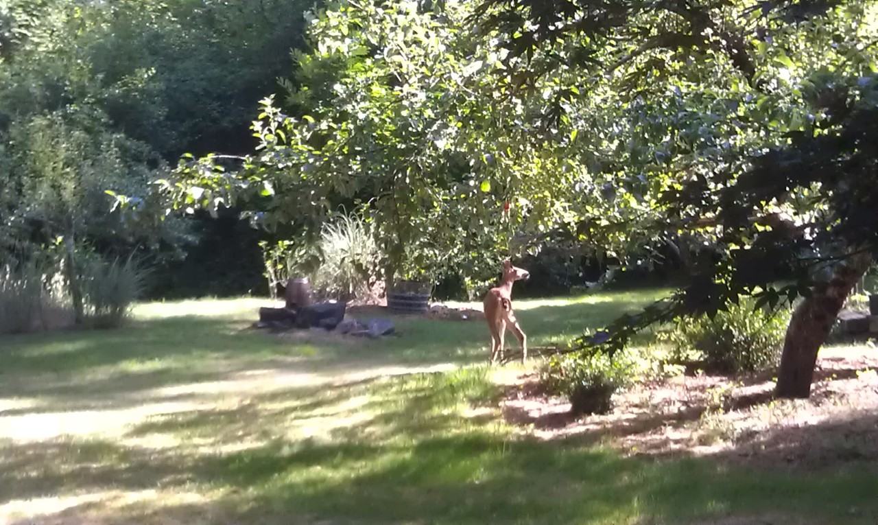 8008 149th Street Northwest - Photo 5 of 28