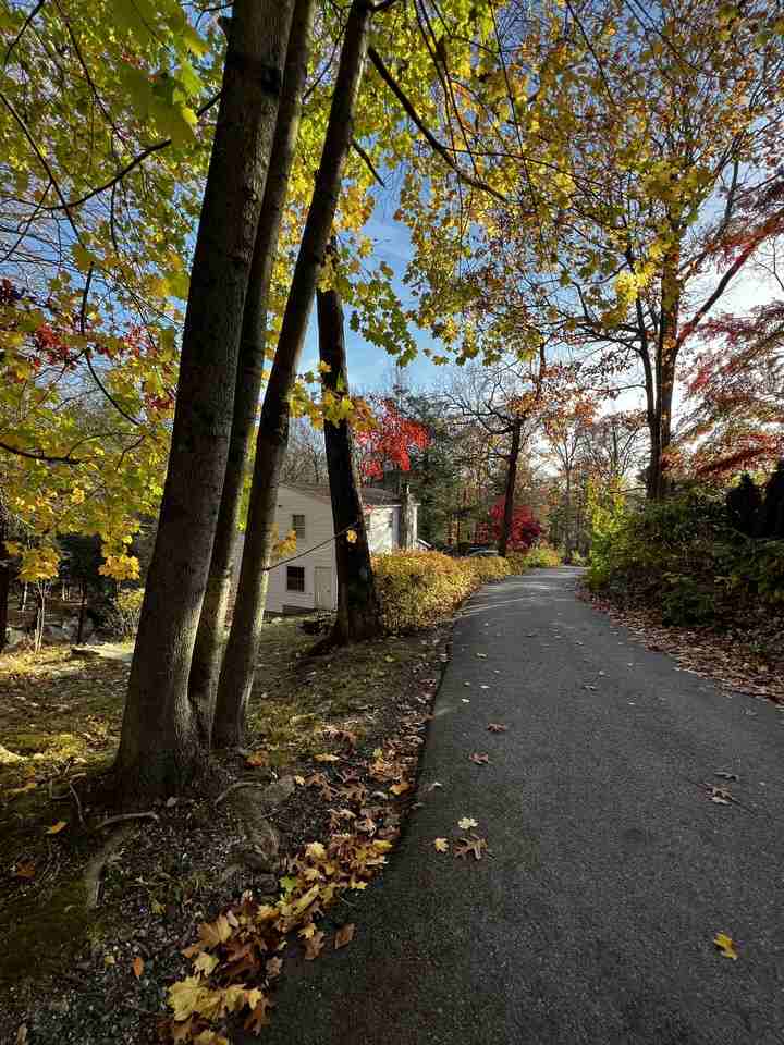 73 Hemlock Rd #NA - Photo 2 of 18