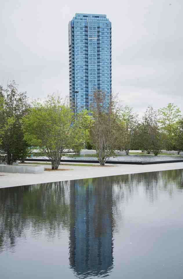 Accolade #6570 - Photo 3 of 12