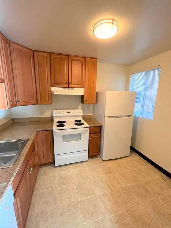 PM0311 - Photo 3 of 8