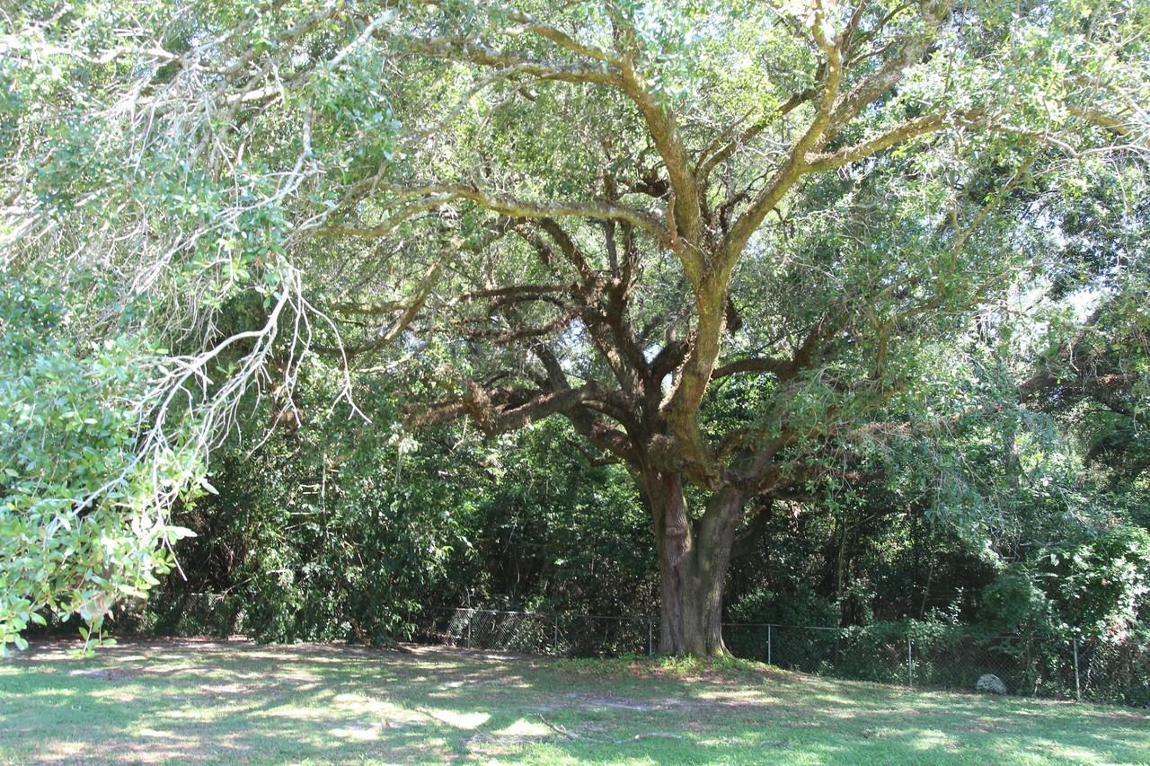 4842 Pinto Dr - Photo 2 of 7