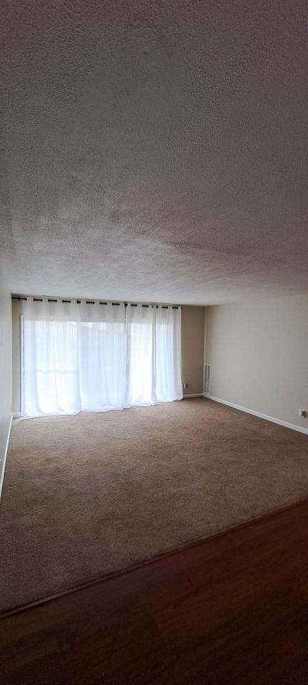 10125 Prince Pl #1 - Photo 3 of 12