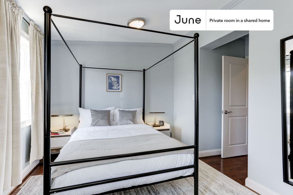 1329 E St Ne #2E - Photo 2 of 17