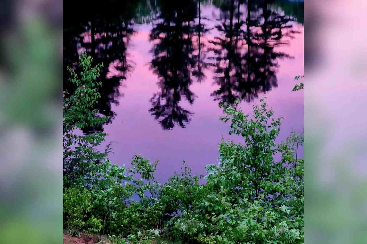 59 Hinds Ln - Photo 3 of 15