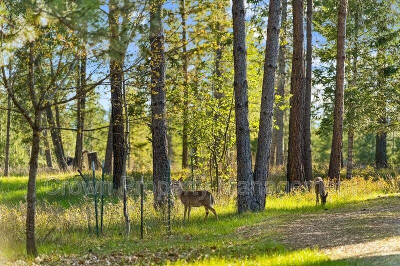 495 Van Sant Rd - Photo 4 of 30