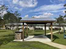 Mulberry - Photo 1 of 1