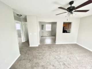 Mulberry - Photo 4 of 13