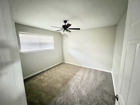 Mulberry - Photo 5 of 13