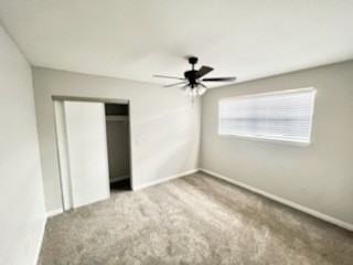 Mulberry - Photo 6 of 13