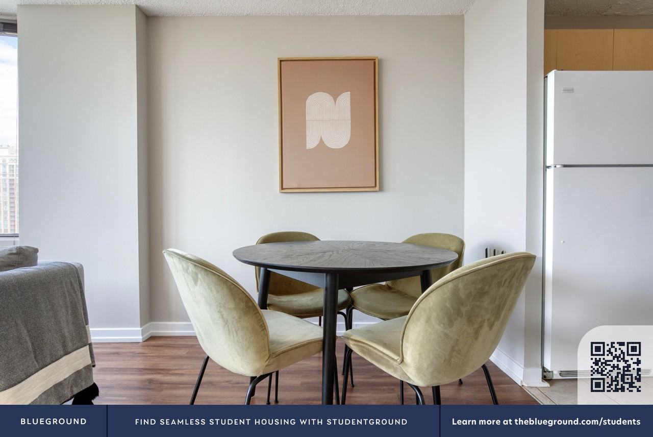 1212 South Michigan Avenue - Photo 7 of 46