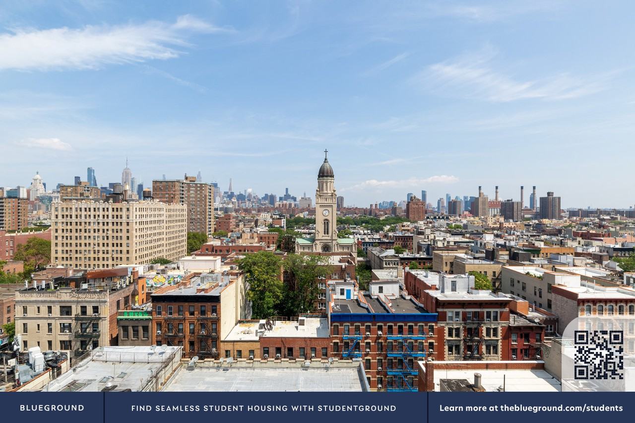 250 East Houston Street - Photo 7 of 108