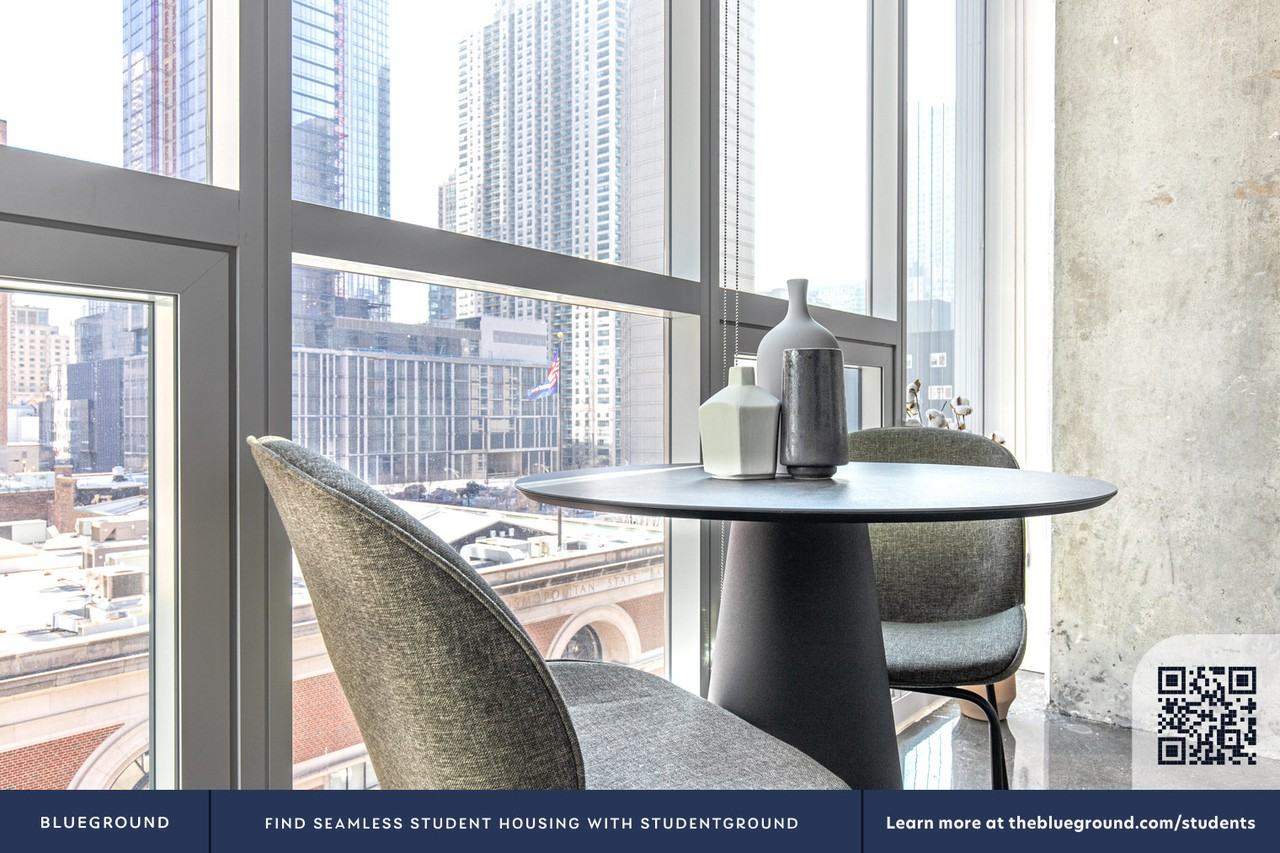 108 West Chicago Avenue - Photo 7 of 45