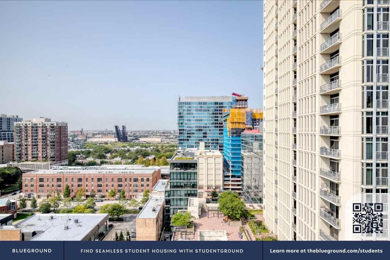 1407 South Michigan Avenue - Photo 7 of 35