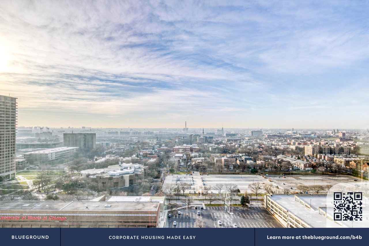 1035 West Van Buren Street - Photo 6 of 41