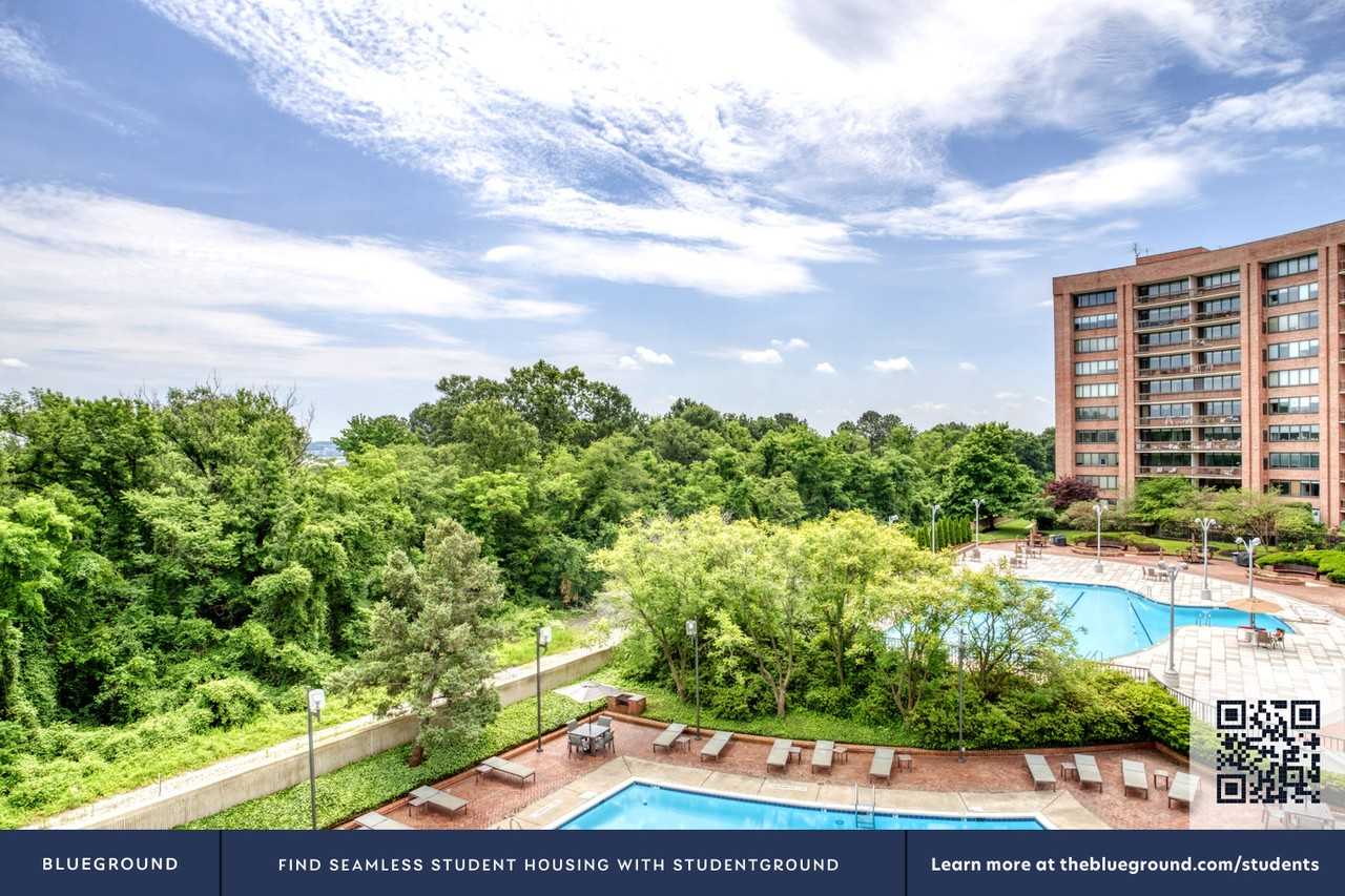 1801 Crystal Dr #558 - Photo 6 of 28