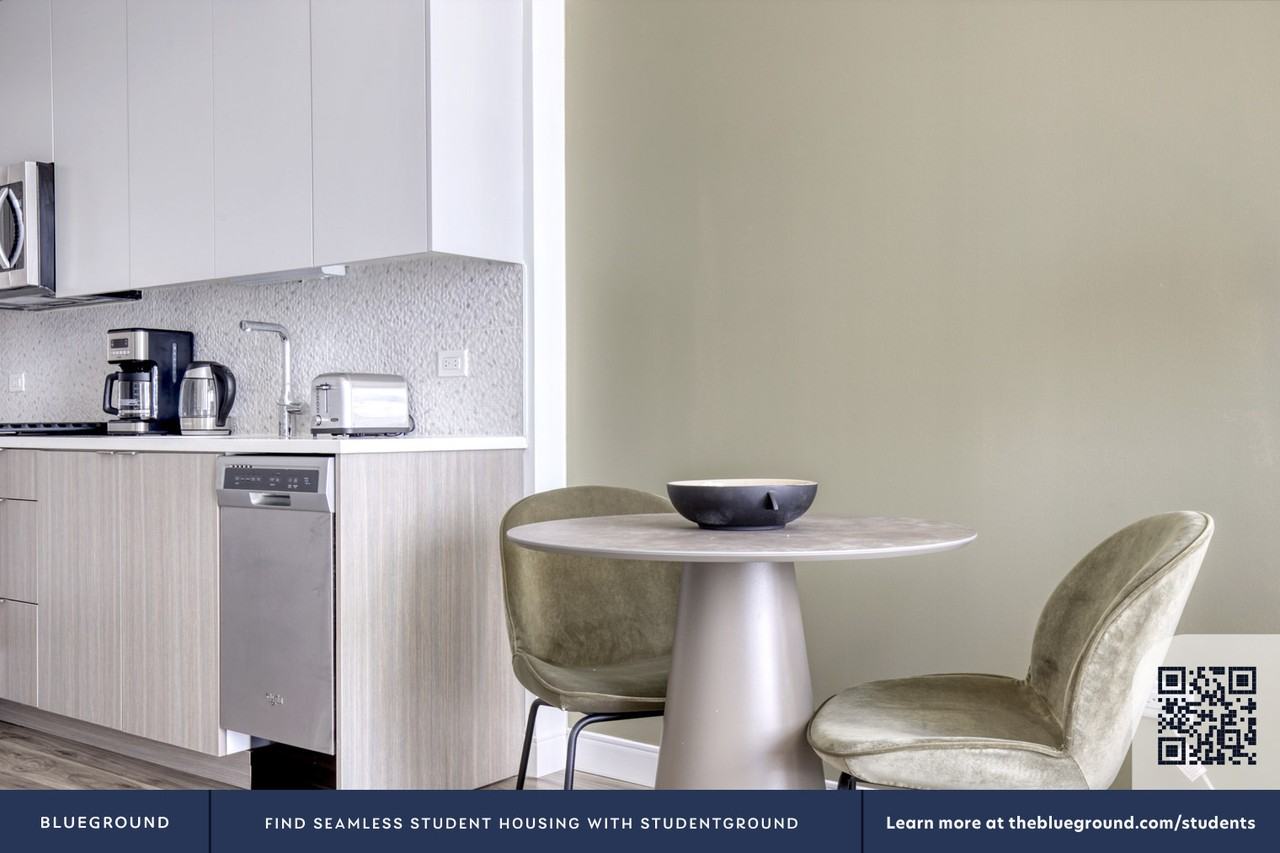 1407 South Michigan Avenue - Photo 6 of 36